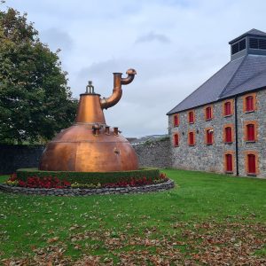 Whiskey aus Irland