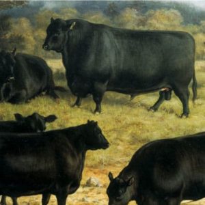 The Ballindalloch Black Angus Single Malt & Black Angus Beef Grill