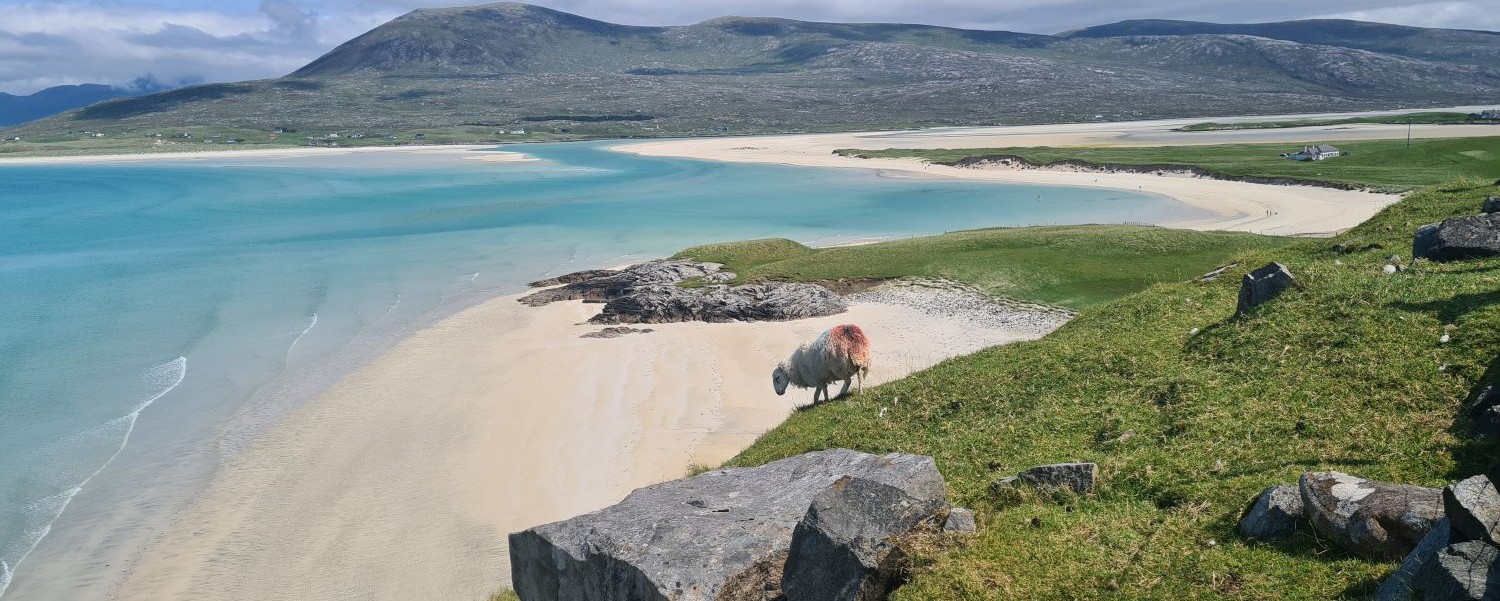 The Islay Whisky Chapter Austria